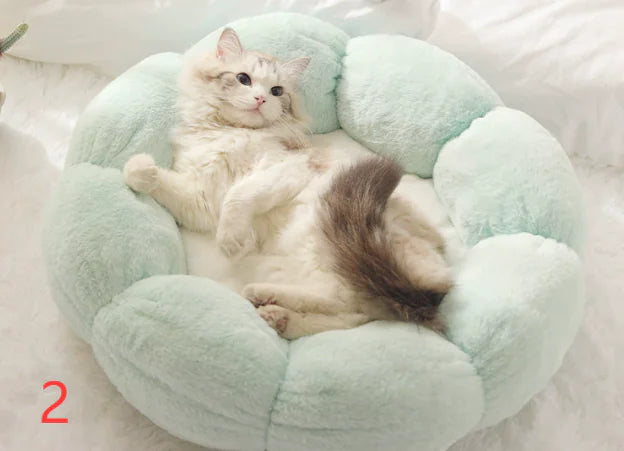 Cozy Indoor Pet Bed
