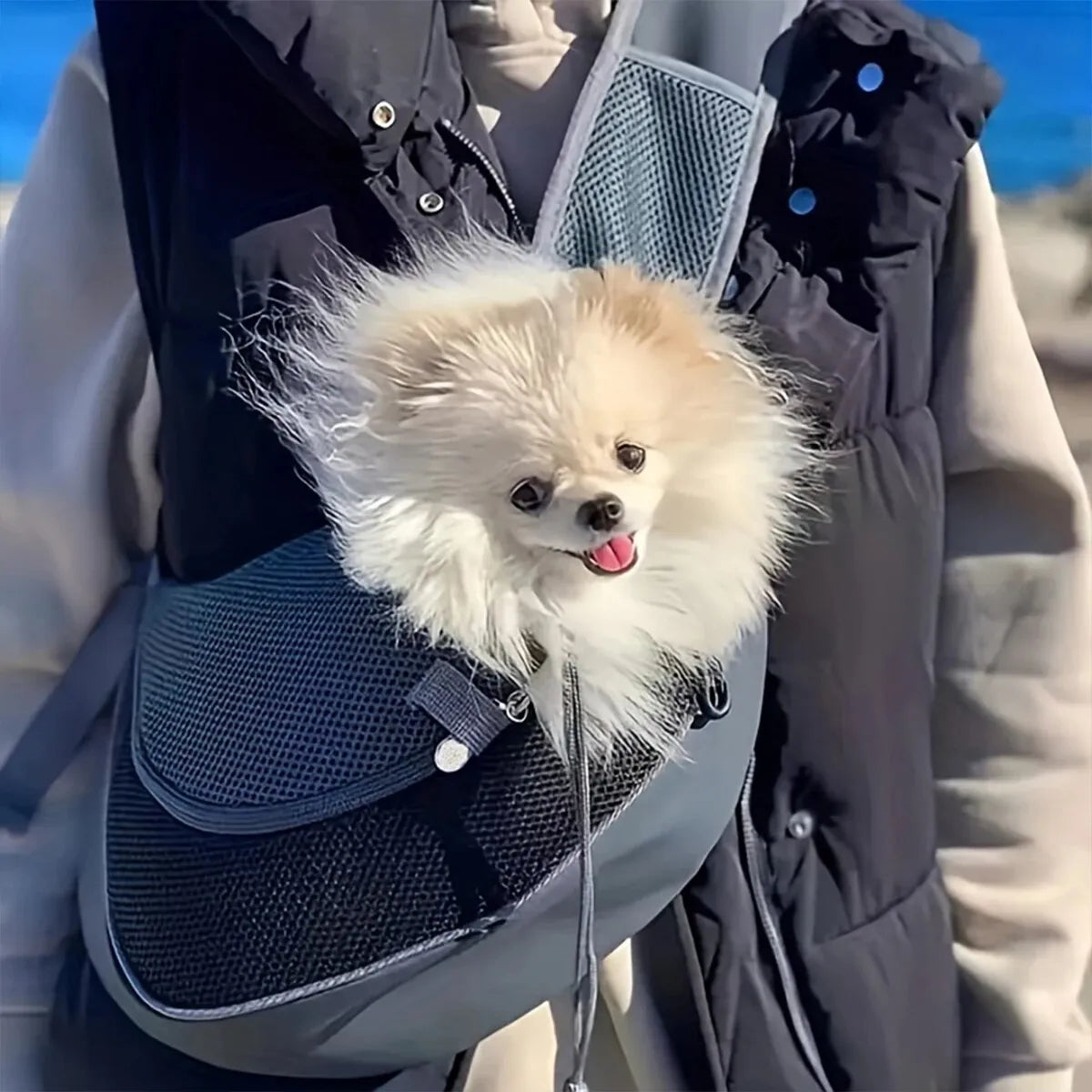 Ideal Pet Carrier Bag for Pet