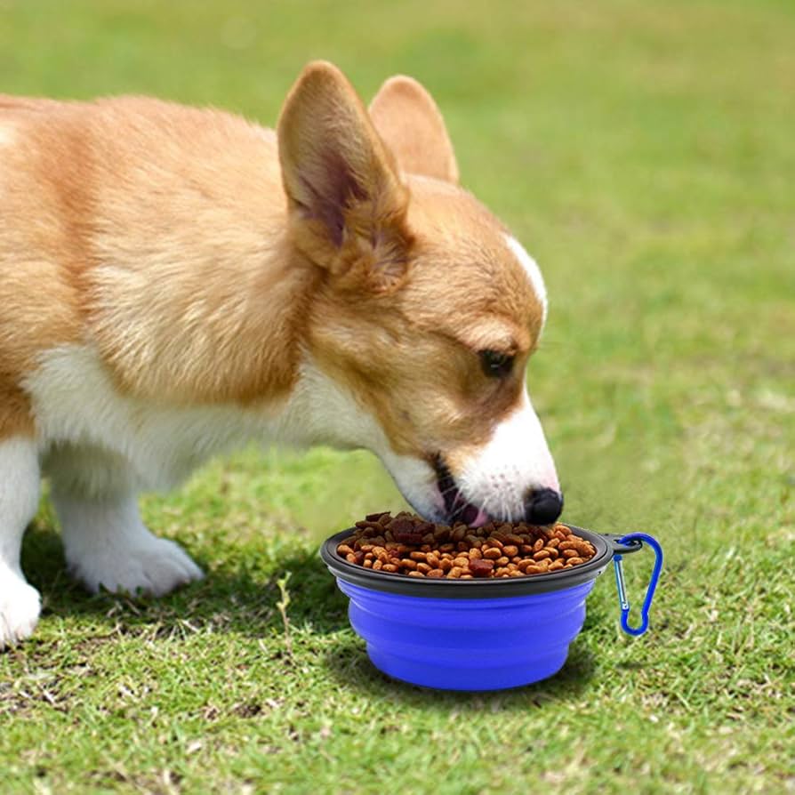 Collapsible 2-pack Small Dog Travel Bowl