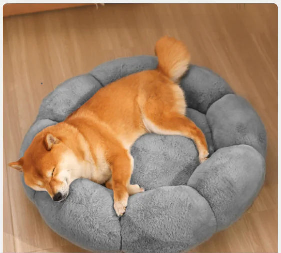 Cozy Indoor Pet Bed