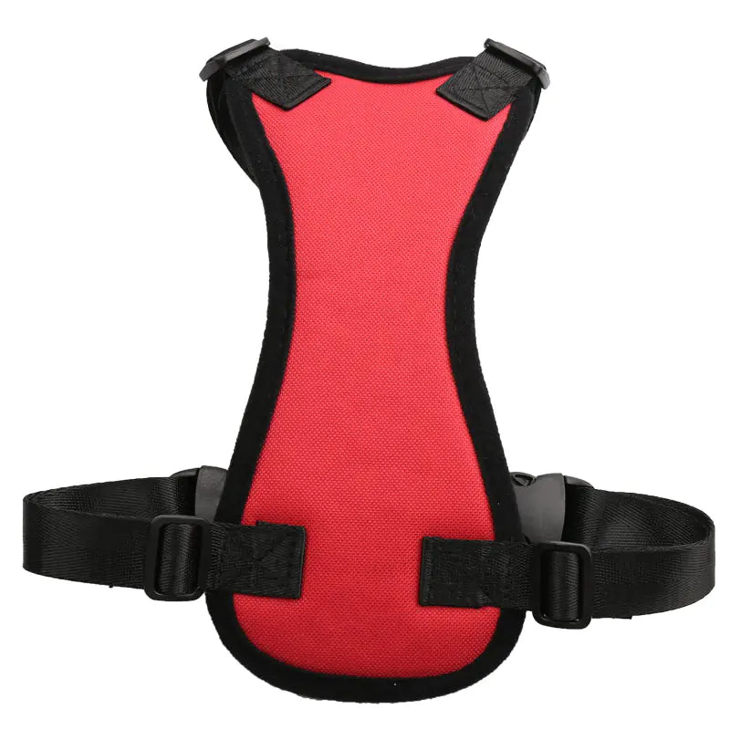 Travel-Safe Canine Car Harness