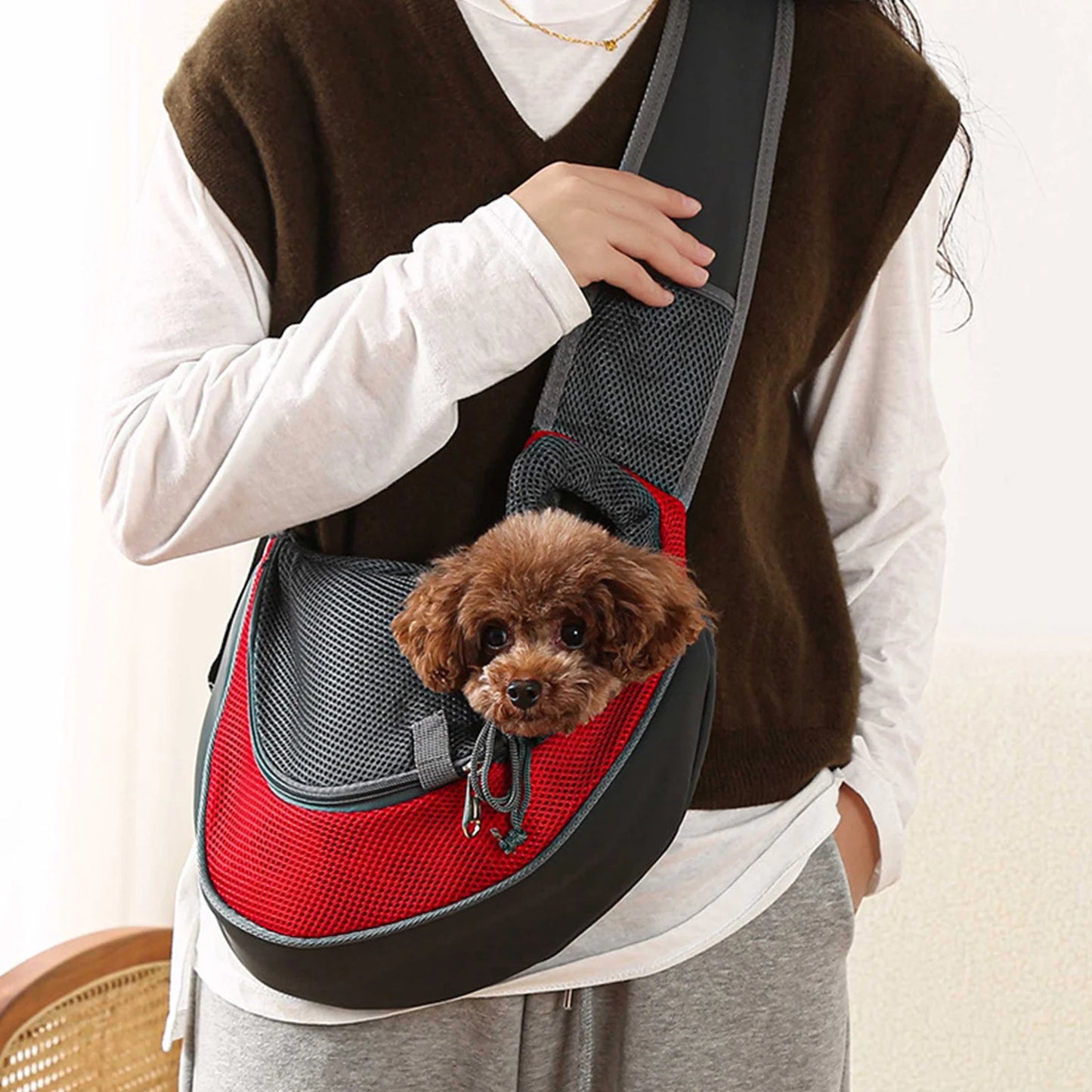 Small Pet Travel Bag for Dogs and Cats