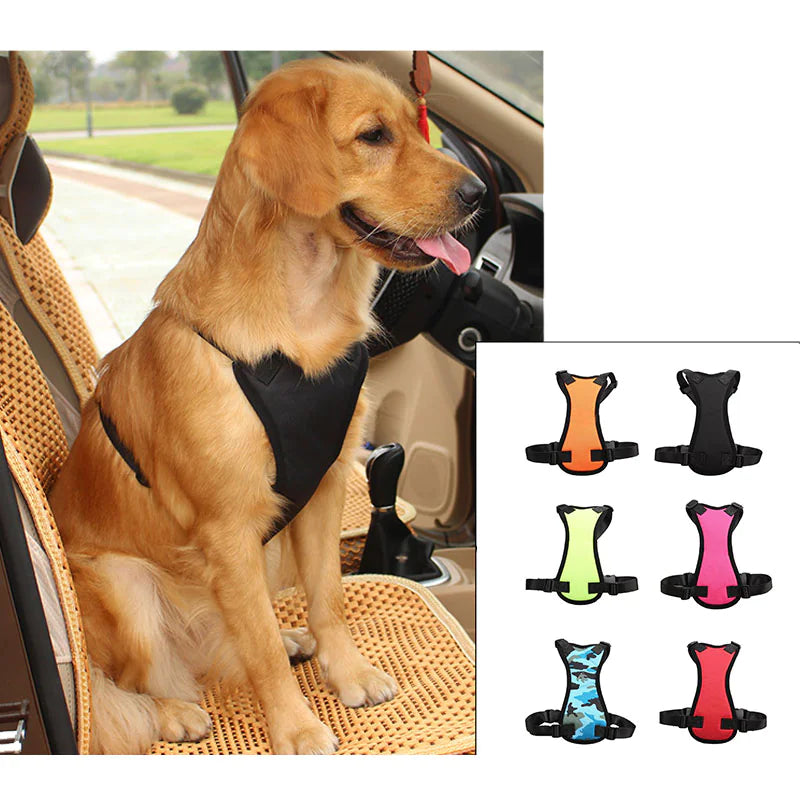 Travel-Safe Canine Car Harness