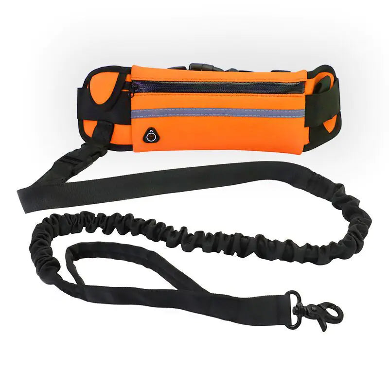 Hands Free Waist Leash for Convenient Dog Walking