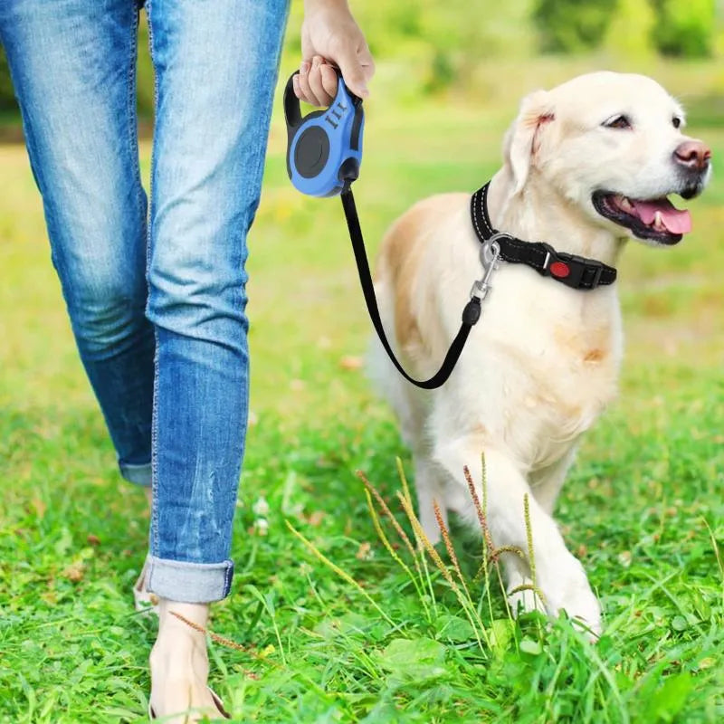 Reflective Pet Leash for Enhanced Safety