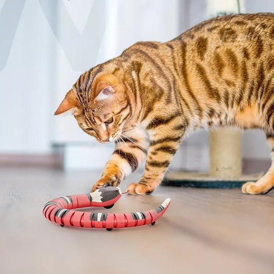 Interactive Snake Rechargable Toy for Cats