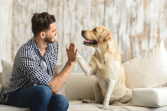 Quality Grooming Tools