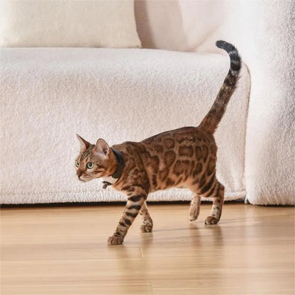 Laser Collar Cat Toy for Interactive Play
