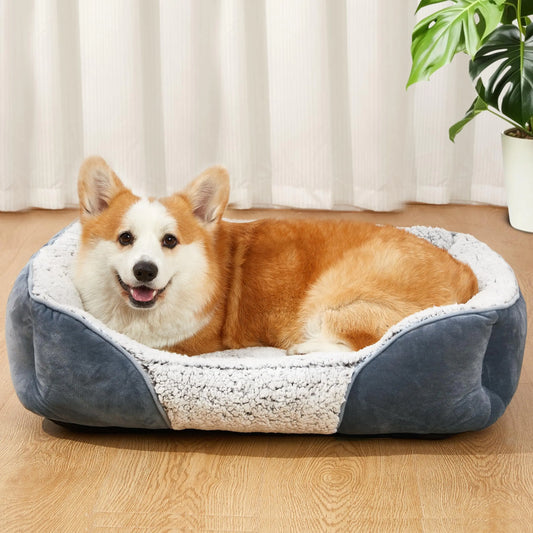 Small Comfy Dog or Cat Bed