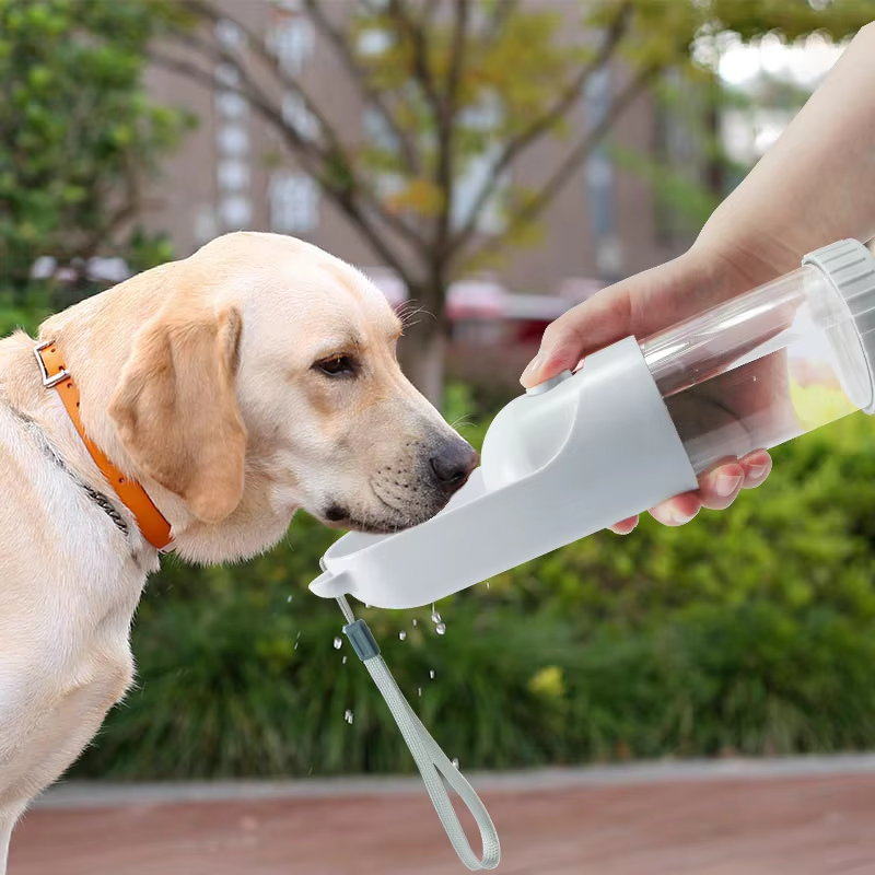 Portable Pet Water Bottle