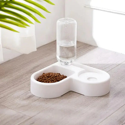 Automatic Water &  Feeding Station
