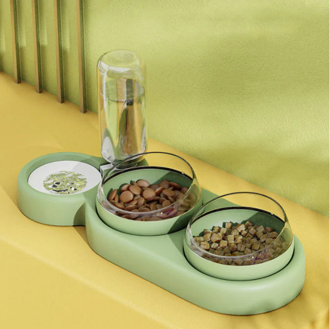 Pet Feeding Station with Gravity-Fed Water Fountain