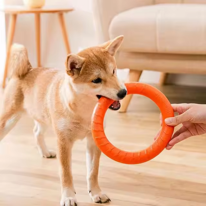 Dog Flying Disk Training Ring